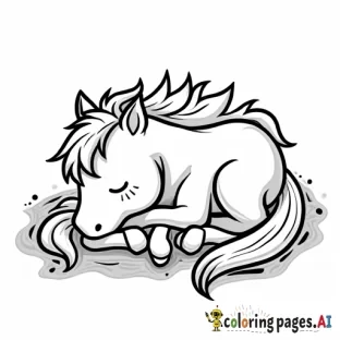 Baby horse curled up sleeping