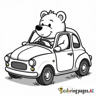 bear driving a car