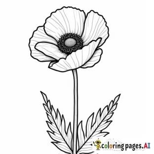 cute poppy carton