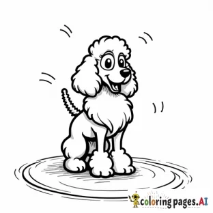 fancy poodle singing on stage