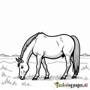 realistic horse grazing on a farm meadow, childrens coloring book page, black and white line art, bold thick outlines, no shading, easy to color for kids