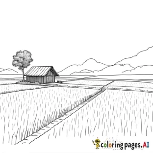 Rice field with small hut