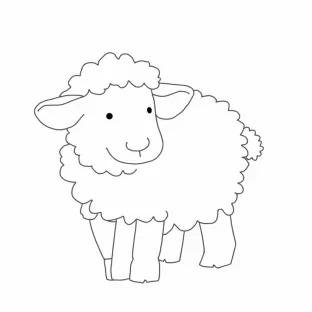 sheep