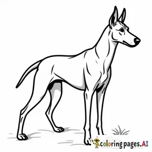 svg image of a doberman